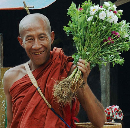 Pongyi Flowers